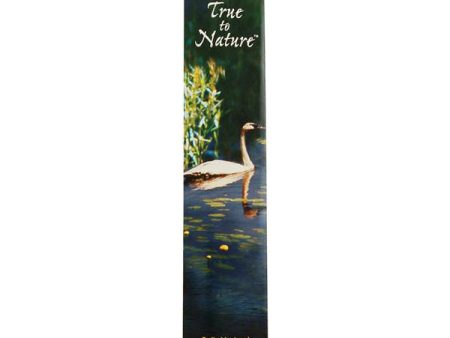 AUROSHIKHA - True To Nature Incense Cinnamon - 0.35 oz. (10 g) Online