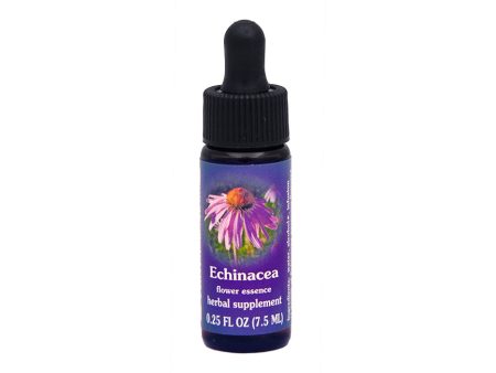 Echinacea Flower Essence Hot on Sale