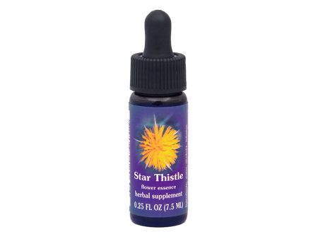 Star Thistle Flower Essence For Cheap