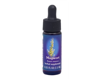 Mugwort Flower Essence Sale