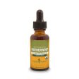 Motherwort 1 fl.oz. Supply