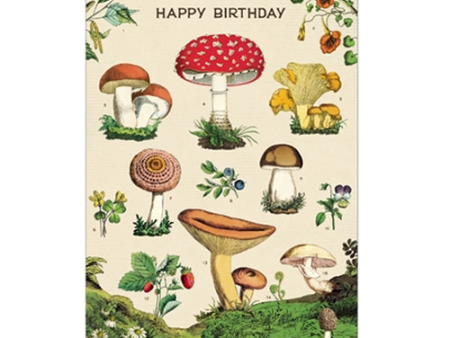 Card Happy Birthday Mushroom Cheap