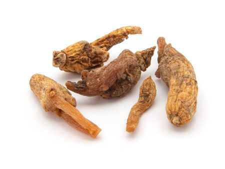 Ginseng (Red) Root For Sale