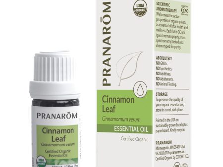 Cinnamon Leaf 5ml on Sale