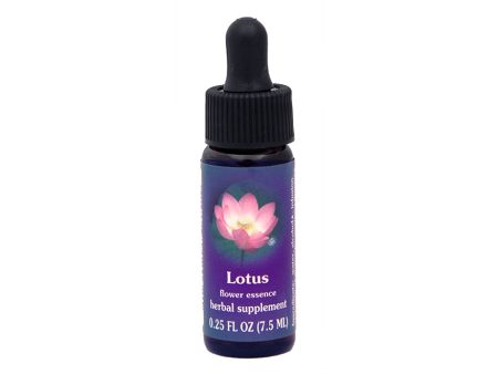 Lotus Flower Essence Fashion