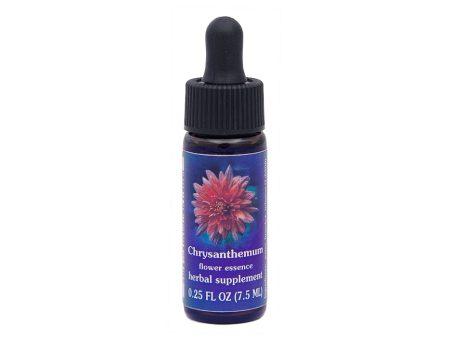 Chrysanthemum Flower Essence Supply