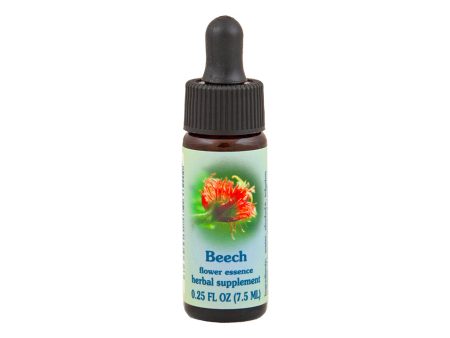 Beech Flower Essence Sale