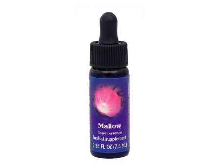 Mallow Flower Essence on Sale