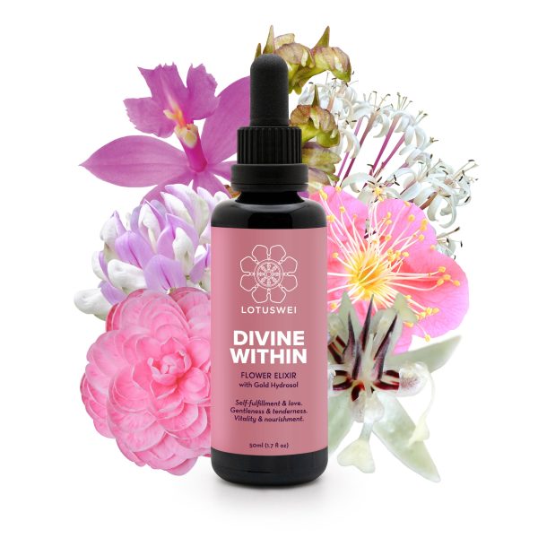 Divine Within Online Sale