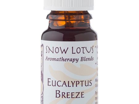 Eucalyptus Breeze - Esthetic Essential Oil Blend Discount