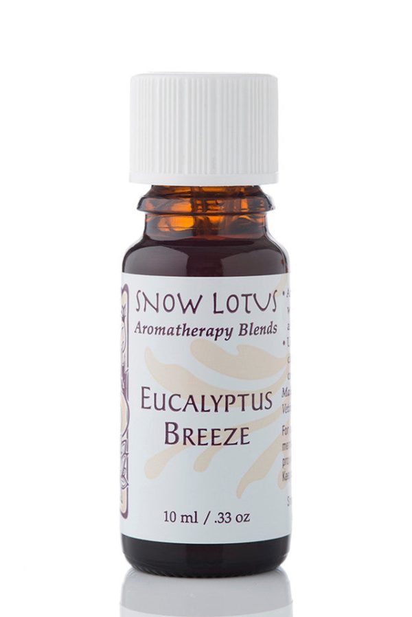 Eucalyptus Breeze - Esthetic Essential Oil Blend Discount