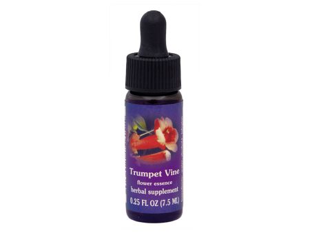 Trumpet Vine Flower Essence Online Sale