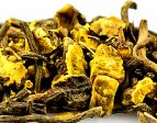 Goldenseal Root Hot on Sale