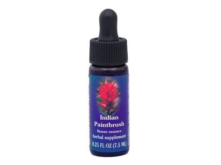 Indian Paintbrush Flower Essence Cheap