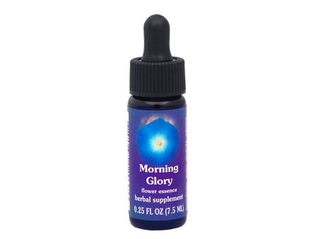 Morning Glory Flower Essence For Discount