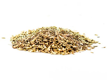 Fennel Seed Hot on Sale