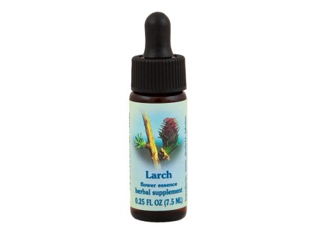 Larch Flower Essence Online