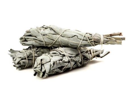 White Sage Herb Bundle Online now