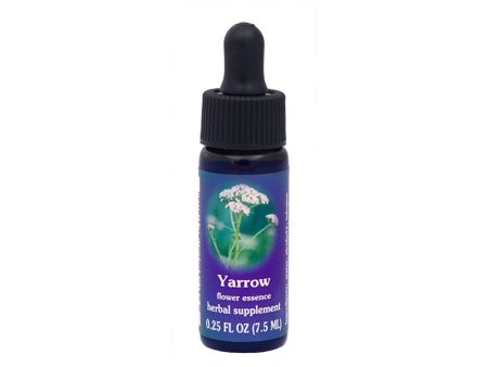 Yarrow Flower Essence Discount