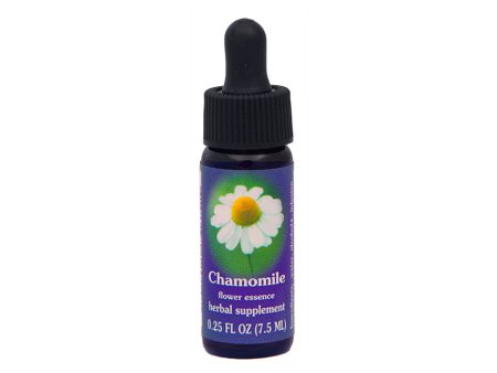 Chamomile Flower Essence Hot on Sale