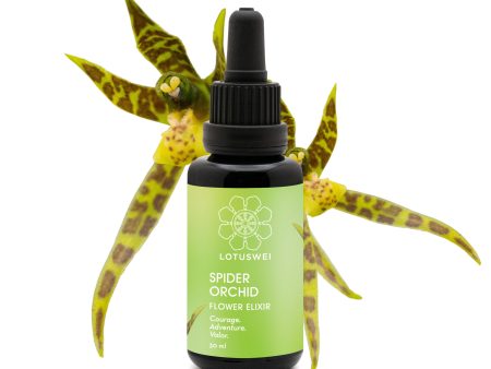 Spider Orchid Elixir Online Sale