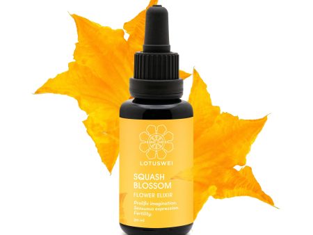 Squash Blossom Elixir For Sale