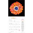 2024 LOTUSWEI Flowerevolution Calendar Discount