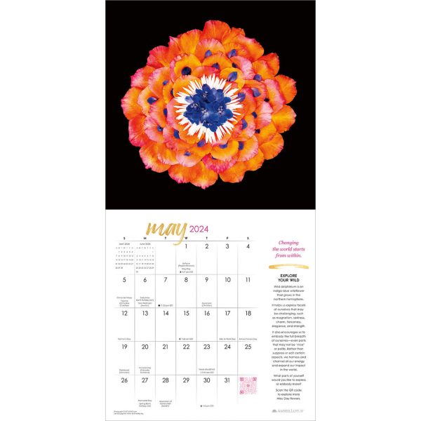 2024 LOTUSWEI Flowerevolution Calendar Discount