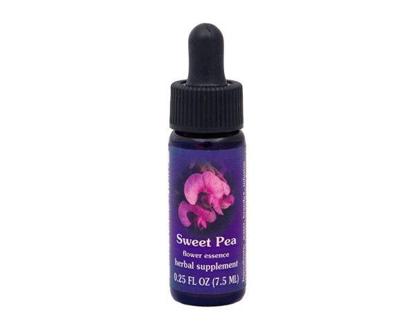 Sweet Pea Flower Essence Cheap