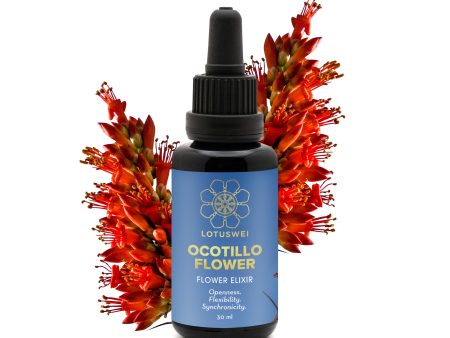 Ocotillo Flower Elixir Cheap