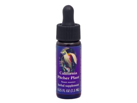 California Pitcher Plant Flower Essence Hot on Sale