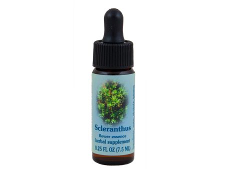 Scleranthus Flower Essence Hot on Sale