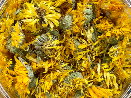 Calendula Flowers Regenerative Organic Fashion