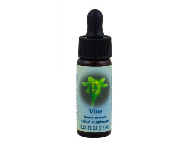 Vine Flower Essence Cheap