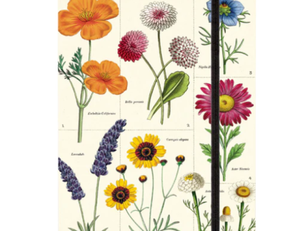 Large Notebook Wildflowers Supply