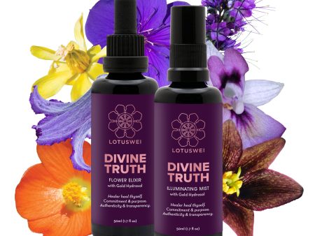 Divine Truth Hot on Sale