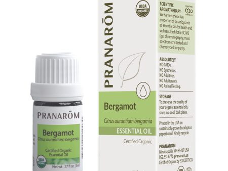 Bergamot For Sale