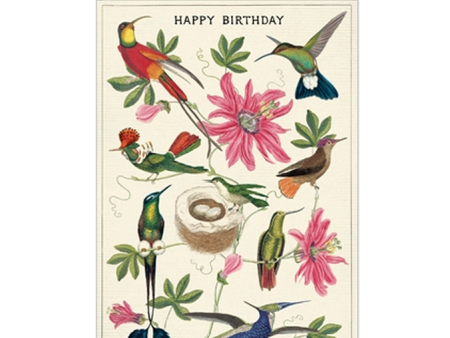 Card Happy Birthday Hummingbirds Online now