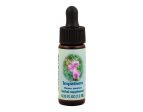 Impatiens Flower Essence Supply