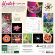 2024 LOTUSWEI Flowerevolution Calendar Discount