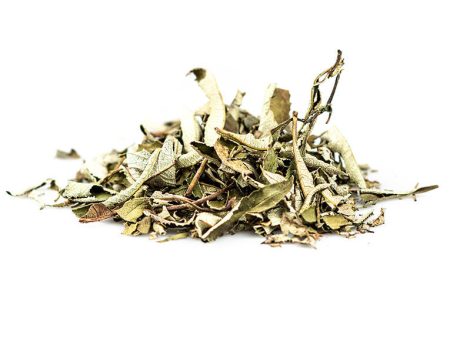 Yerba Santa Leaf For Sale