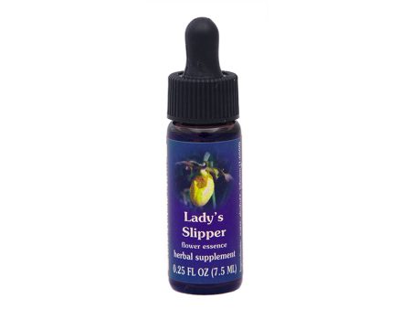 Lady s Slipper Flower Essence Online now