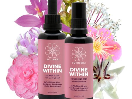 Divine Within Online Sale