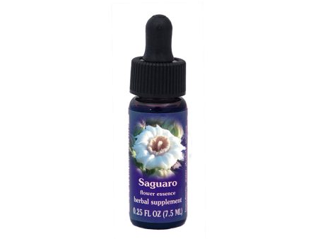 Saguaro Flower Essence Hot on Sale