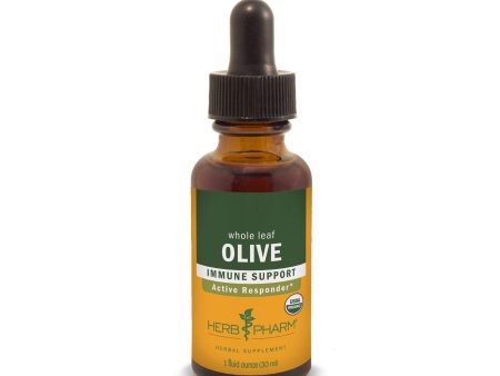 Olive Leaf 1 fl.oz. Fashion