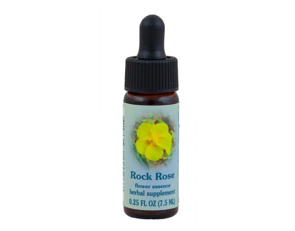 Rock Rose Flower Essence Online