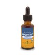 Meadowsweet 1 fl.oz. Online