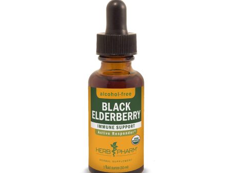 Black Elderberry Alcohol-Free 1 fl.oz. For Discount