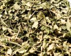 Lemon Verbena Cheap