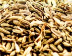 Fennel Seed Hot on Sale